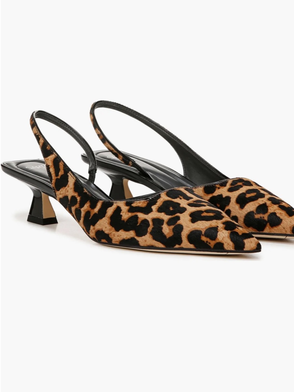 Sarto by Franco Sarto Leopard Print Slingback Kitten Heel Pumps